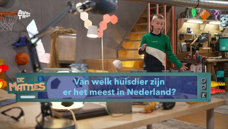 Huisdieren